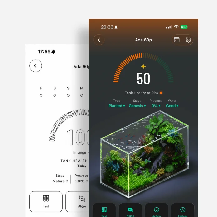 Tankly app screens showing the taste workflow in practice